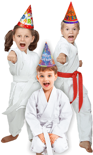 Martial Arts Birthday Party for Kids in Frisco TX - Birthday Punches Page Banner